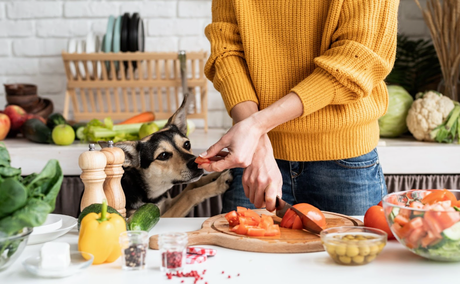 A happy small black and tan dog in a home kitchen reaching for a freshly cut vegetable while its owner chops produce, highlighting natural whole-food ingredients for dogs.