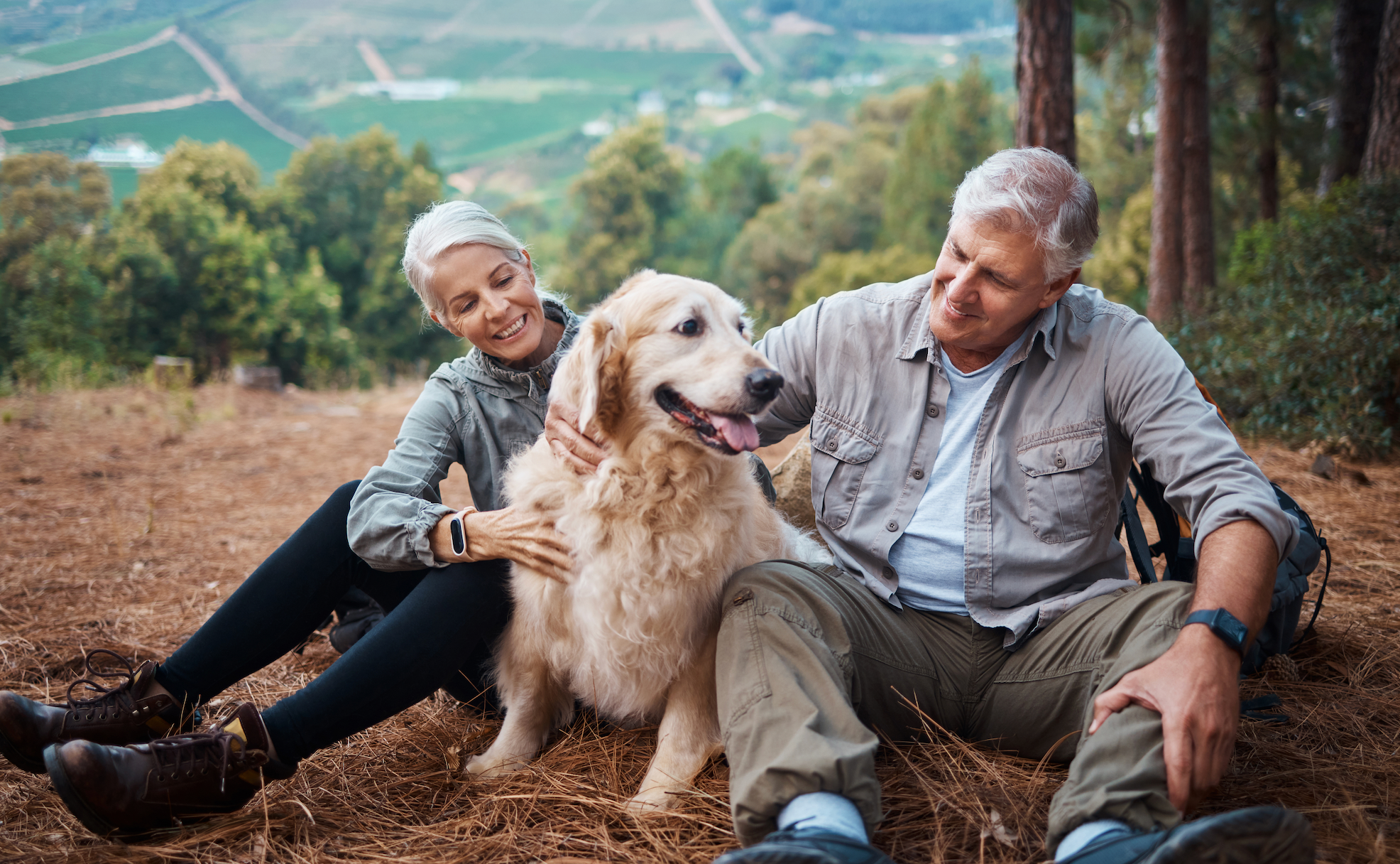 A retired couple sitting outdoors in a pine-covered clearing, smiling while petting their happy Golden Retriever, with rolling green hills and trees in the background, a peaceful outdoor moment highlighting dog companionship and healthy living.