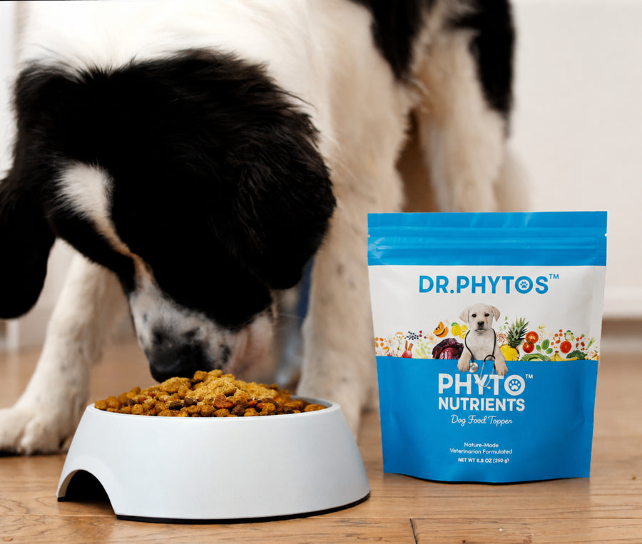 Dr. Phytos Phytonutrient Dog Food Topper