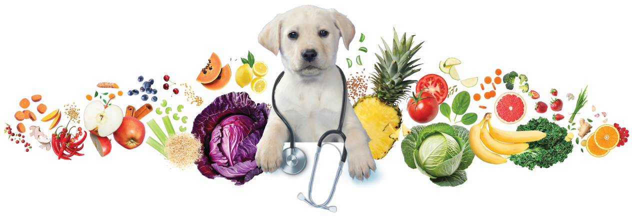 Dr. Phytos - Dog with fruits and vegetables