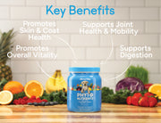 Dr. Phytos Phytonutrient Dog Food Topper