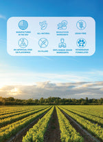 Dr. Phytos Phytonutrient Dog Topper thumbnail