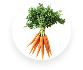 Carrot