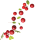 Cranberry