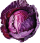 Red Cabbage