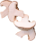 Shiitake Mushroom