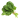Spinach