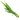 Wheatgrass