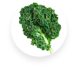 Kale
