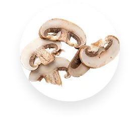 Shiitake Mushroom