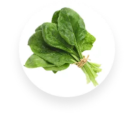 Spinach