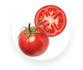 Tomato
