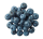 Wild Blueberry