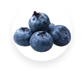 Wild Blueberry