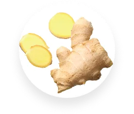 Ginger