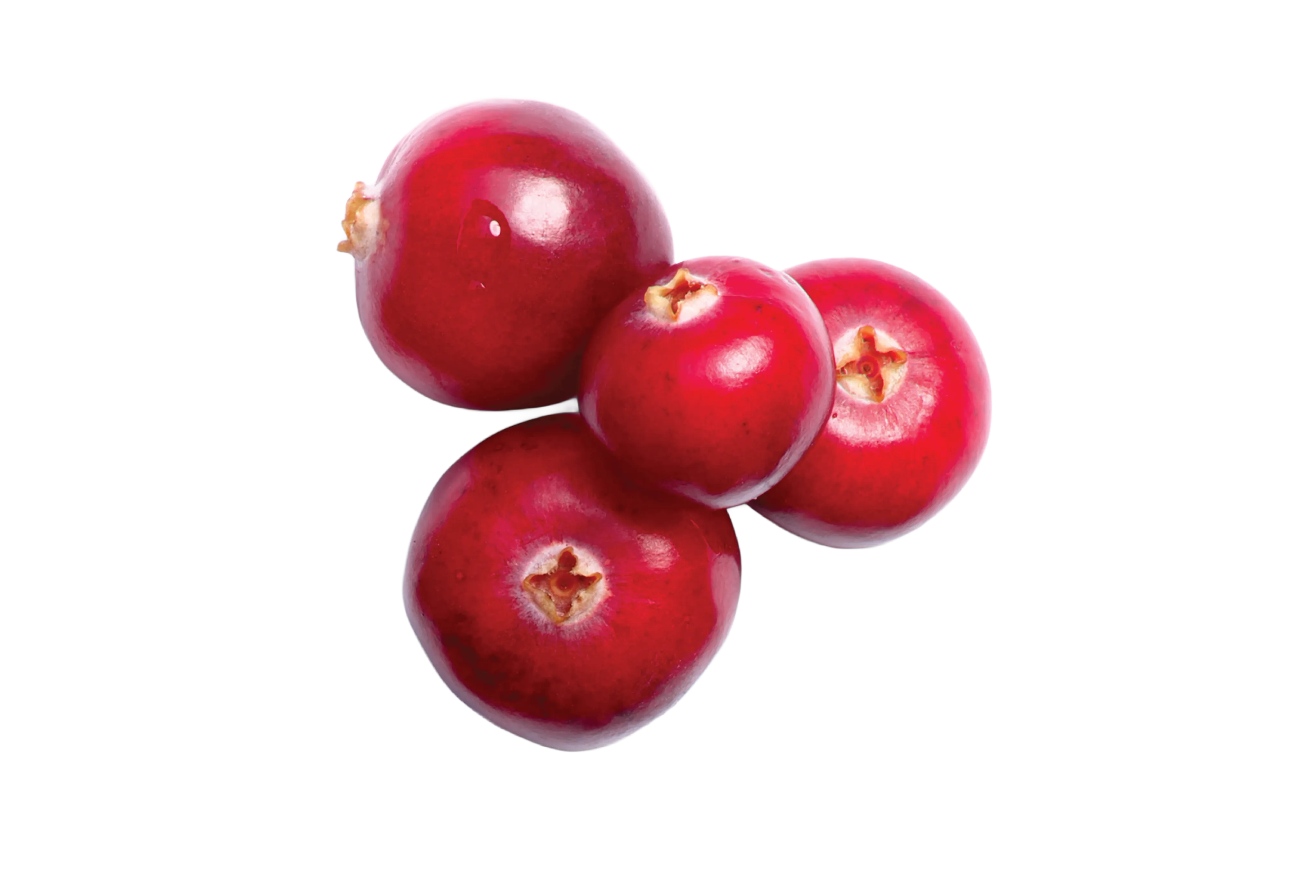 Cranberry