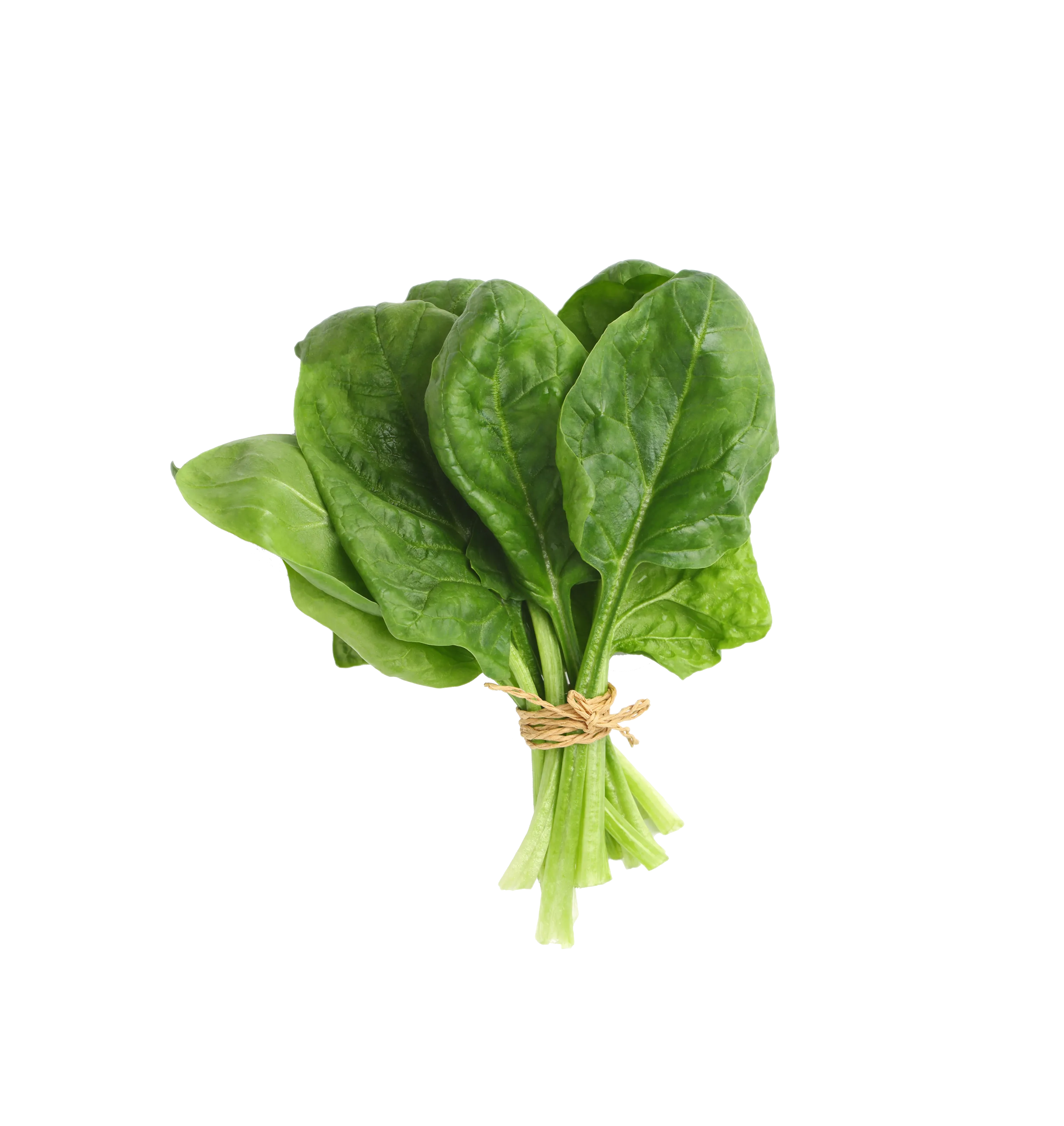 Spinach