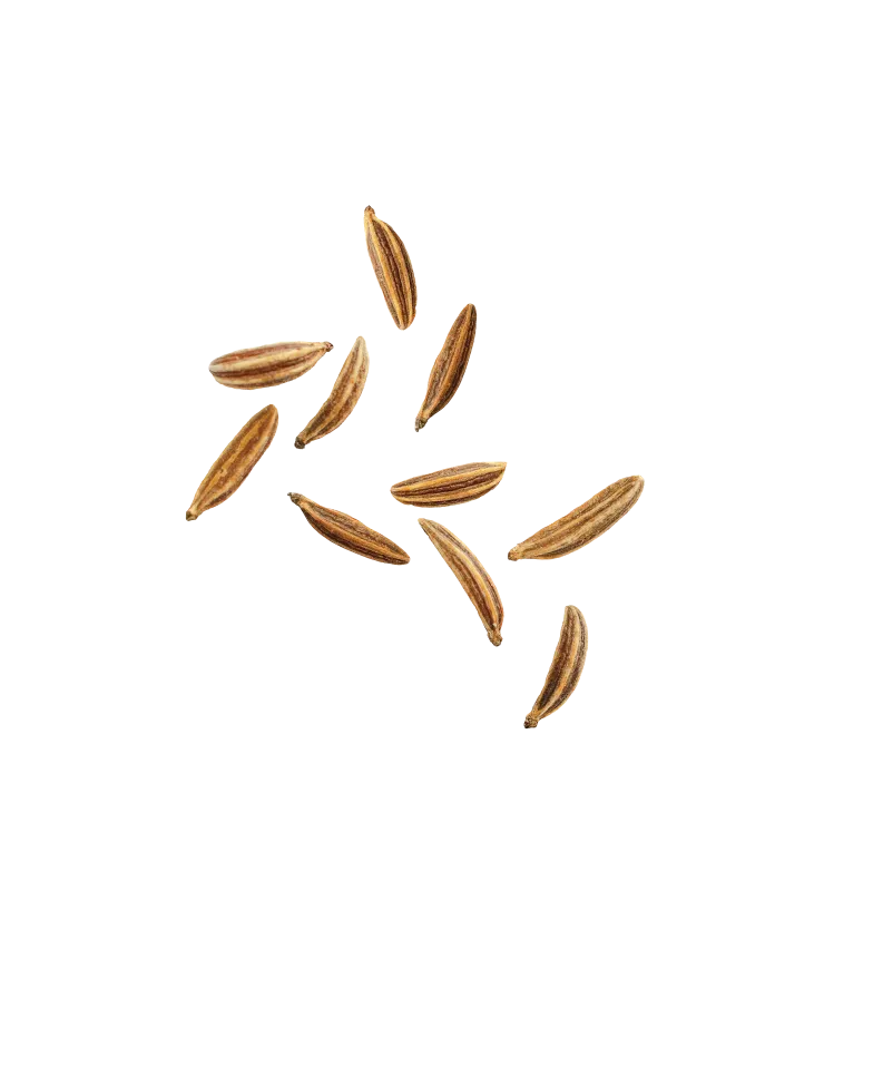 Cumin