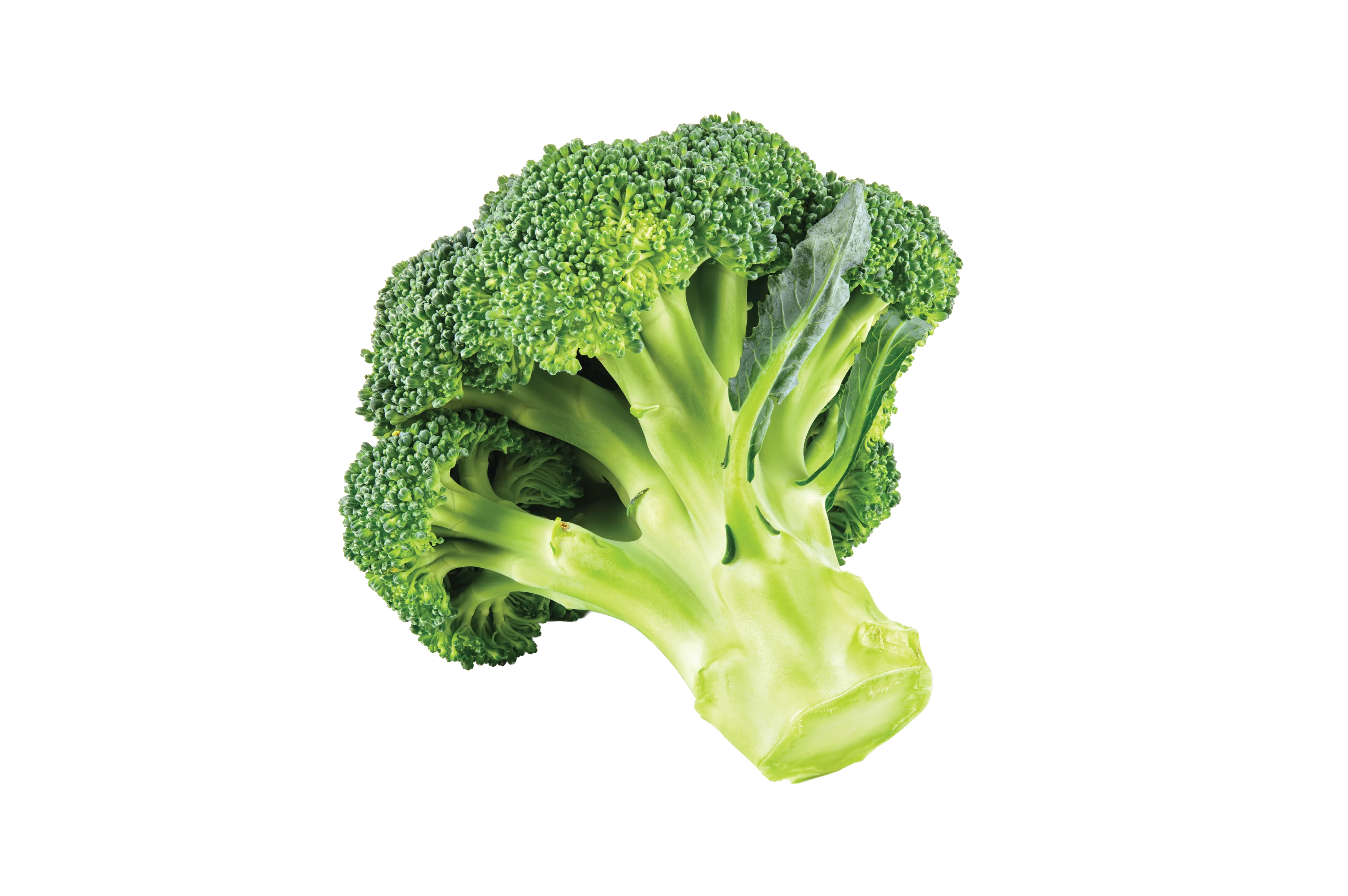Broccoli