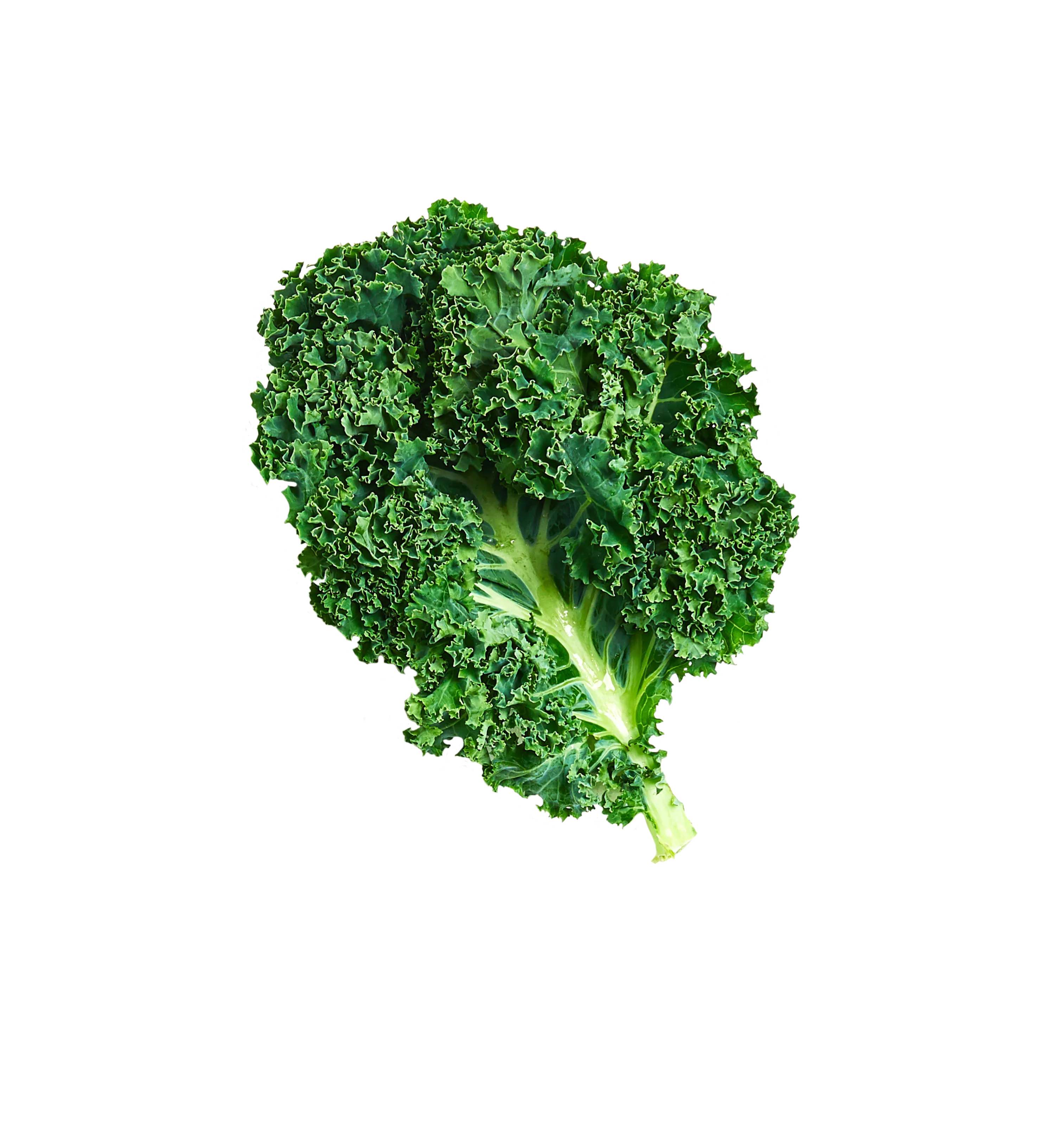 Kale