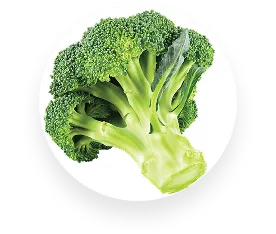 Broccoli