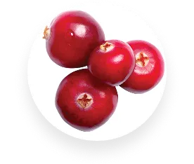 Cranberry