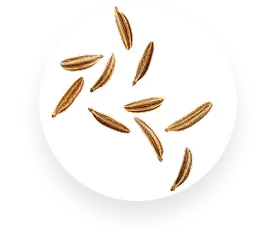 Cumin