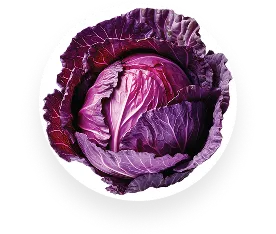 Red Cabbage